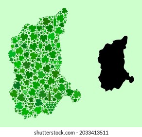 Vector Map of Lubusz Province. Collage of green grapes, wine bottles. Map of Lubusz Province collage designed from bottles, grapes, green leaves.