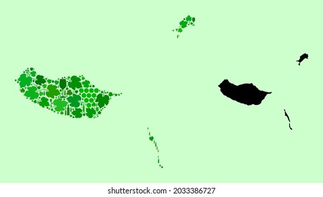 Vector Map of Madeira Islands. Collage of green grape leaves, wine bottles. Map of Madeira Islands collage composed from bottles, grapes, green leaves.