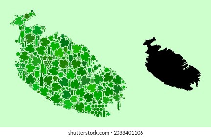 Vector Map of Malta Island. Collage of green grape leaves, wine bottles. Map of Malta Island collage designed with bottles, grapes, green leaves.