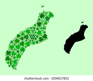 Vector Map of Niihau Island. Collage of green grape leaves, wine bottles. Map of Niihau Island collage designed with bottles, berries, green leaves. Abstract mosaic designed for patriotic posters.