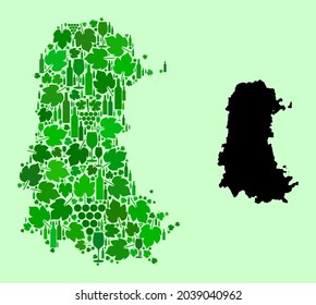 Vector Map of Palencia Province. Composition of green grapes, wine bottles. Map of Palencia Province mosaic designed with bottles, grapes, green leaves.