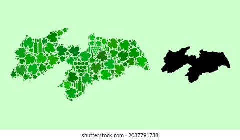 Vector Map of Paraiba State. Collage of green grape leaves, wine bottles. Map of Paraiba State collage formed with bottles, berries, green leaves. Abstract collage designed for bars posters.