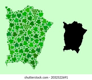 Vector Map of Penang Island. Combination of green grape leaves, wine bottles. Map of Penang Island collage designed with bottles, berries, green leaves. Abstract collage is designed for bars collages.