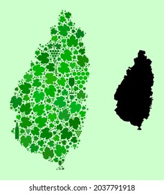 Mapa vectorial de la isla de Santa Lucía. Combinación de uvas verdes y botellas de vino. Mapa del collage de la isla de Santa Lucía diseñado con botellas, uvas, hojas verdes.