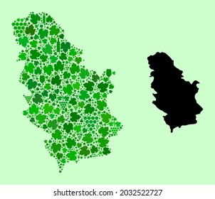 Vector Map of Serbia. Mosaic of green grape leaves, wine bottles. Map of Serbia mosaic designed from bottles, berries, green leaves. Abstract mosaic useful for advertising projects.