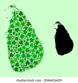 Vektorkarte von Sri Lanka. Mosaik aus grünen Weintrauben, Weinflaschen. Karte von Sri Lanka Mosaik mit Flaschen, Weintrauben, grünen Blättern. Abstraktes Mosaik nützlich für patriotische Collagen.