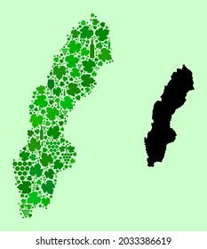 Vector Map of Sweden. Collage of green grape leaves, wine bottles. Map of Sweden collage designed with bottles, grapes, green leaves. Abstract collage designed for advertising purposes.