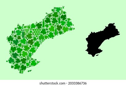 Vector Map of Tarragona Province. Combination of green grape leaves, wine bottles. Map of Tarragona Province mosaic composed with bottles, berries, green leaves.