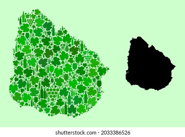 Vector Map of Uruguay. Combination of green grapes, wine bottles. Map of Uruguay collage formed from bottles, grapes, green leaves. Abstract collage designed for wine production agitprop.