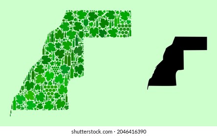 Vector Map of Western Sahara. Collage of green grape leaves, wine bottles. Map of Western Sahara mosaic designed with bottles, grapes, green leaves.