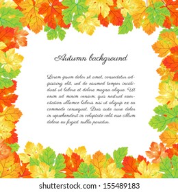 Vector maple autumn leaves background.