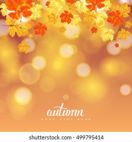 Vector maple autumn leaves background.