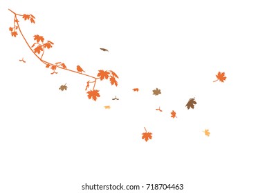 Vector maple branch with flying leaves. Graphic for wall sticker.