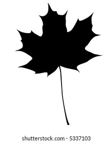 vector maple leaf