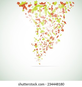 Vector maple leaf background. Eps 10 illustration
