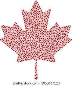 Vector maple leaf covid mosaic icon created for health care illustrations. Maple leaf mosaic is shaped with little covid infection icons.