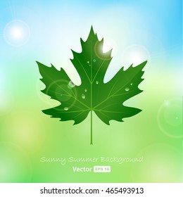 vector maple leaf with drops of water