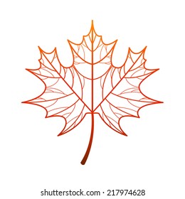 Vector maple leaf icon
