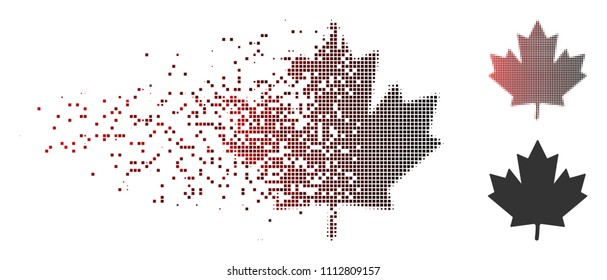 Vector maple leaf icon in dispersed, dotted halftone and undamaged solid versions. Disintegration effect involves rectangle dots and horizontal gradient from red to black.