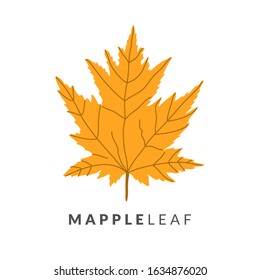 vector maple leaf isolated on white background