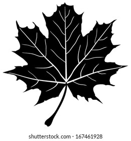 vector maple leaf silhouette