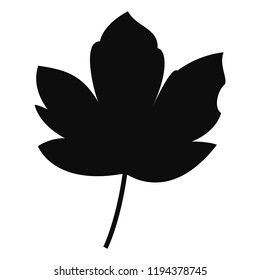 Vector Maple Leaf. Silhouette Isolated On White Background.