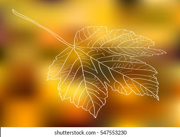 vector maple leaf sketch on bokeh background