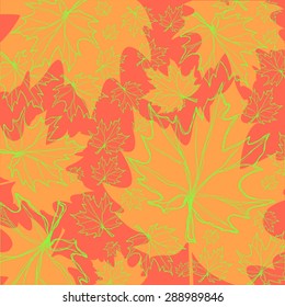 Vector maple Leafs texture