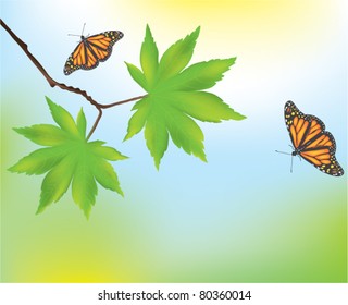 vector maple leaves and butterflies