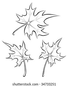 Vector maple leaves. Freehand drawing.