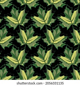 Vector - maple leaves, watercolor illustration, seamless pattern. 