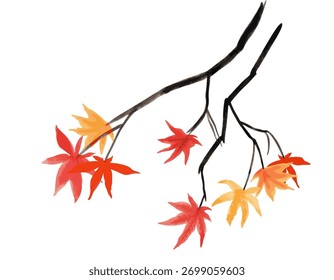 Vector Maple tree branch with red and gold autumn leaves on a white background