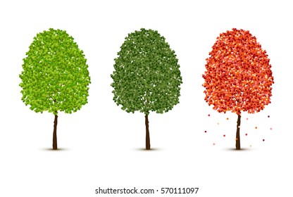 Vector maple trees set on white background