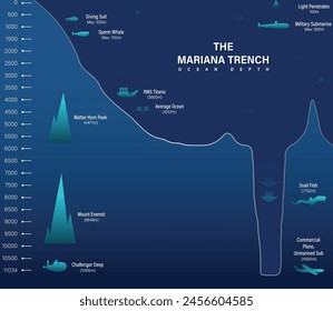 Vector mariana trinchera mar ilustración, infografías o análisis, profundidad del océano