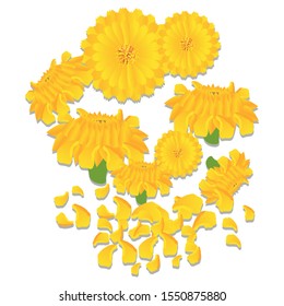 Vector Marigold And Marigold Petals. Flowers. Pay homage to Buddhism. Ganesha temple