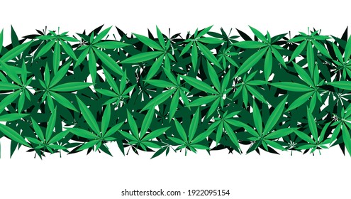 vector marihuana leaves. natural green endless strip, background, template for cosmetics