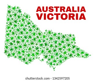 Vector marijuana Australian Victoria map mosaic. Template with green weed leaves for cannabis legalize campaign. Vector Australian Victoria map is created with marijuana leaves.