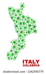 Vector marijuana Calabria region map collage. Concept with green weed leaves for weed legalize campaign. Vector Calabria region map is formed with marijuana leaves.
