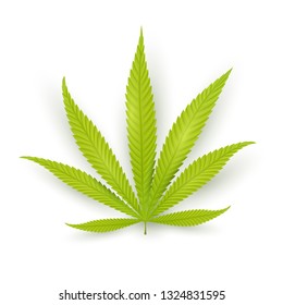 VECTOR Marijuana ( Cannabis ) leaf on white background. Sativa (indica) leaf. Isolated.