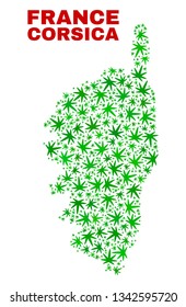 Vector marijuana Corsica map collage. Template with green weed leaves for weed legalize campaign. Vector Corsica map is designed with weed leaves.