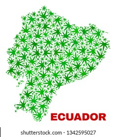 Vector marijuana Ecuador map mosaic. Template with green weed leaves for weed legalize campaign. Vector Ecuador map is created with marijuana leaves.