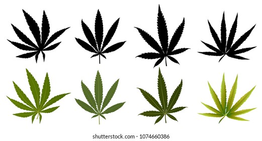Vector Marijuana Green icon and blak Leaf set isolated on white background.