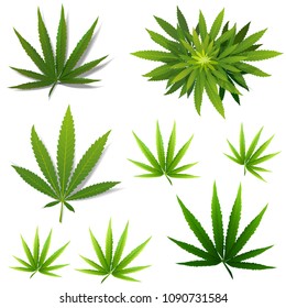 Vector Marijuana Green icon and blak Leaf set isolated on white background.
