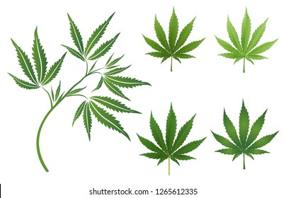 Vector Marijuana Green icon and blak Leaf set isolated on white background.