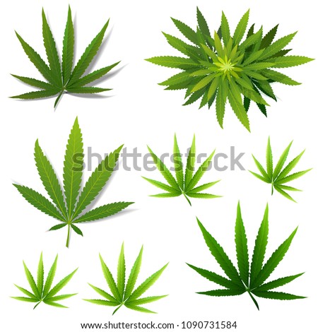 Vector Marijuana Green icon and blak Leaf set isolated on white background.