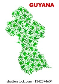 Vector marijuana Guyana map mosaic. Concept with green weed leaves for cannabis legalize campaign. Vector Guyana map is composed with weed leaves.