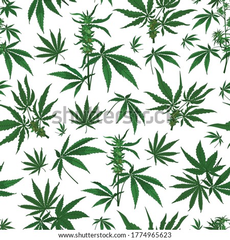 Vector marijuana hemp leaves with seeds seamless pattern background
