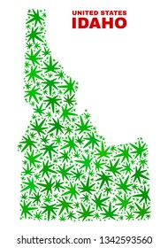 Vector marijuana Idaho State map mosaic. Template with green weed leaves for marijuana legalize campaign. Vector Idaho State map is formed from weed leaves.