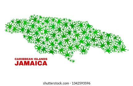 Vector marijuana Jamaica map collage. Concept with green weed leaves for weed legalize campaign. Vector Jamaica map is composed of weed leaves.