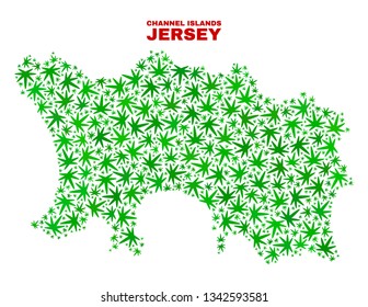 Vector marijuana Jersey Island map mosaic. Template with green weed leaves for weed legalize campaign. Vector Jersey Island map is constructed with weed leaves.
